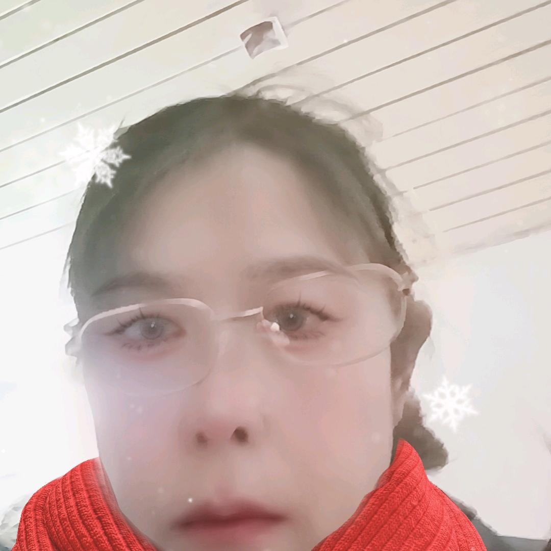 董进书