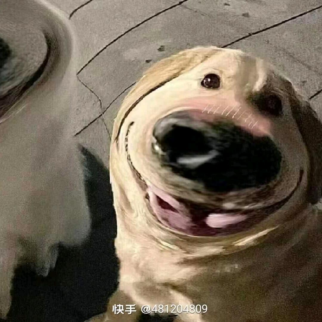 小可乐