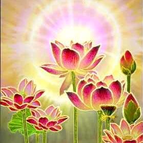 荷