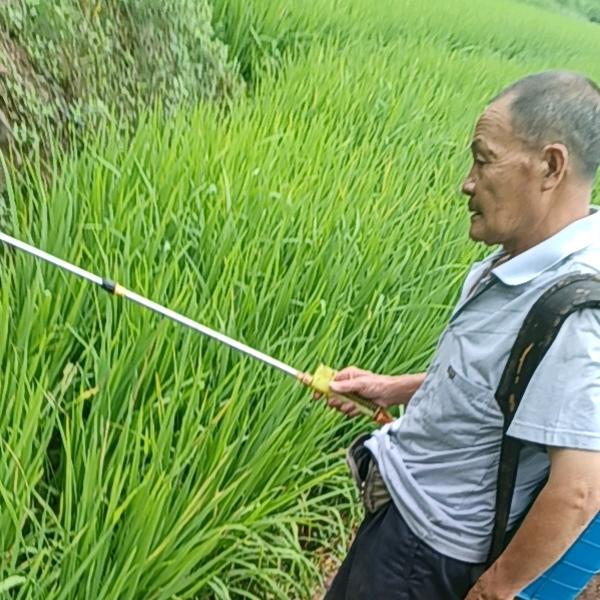吕良根