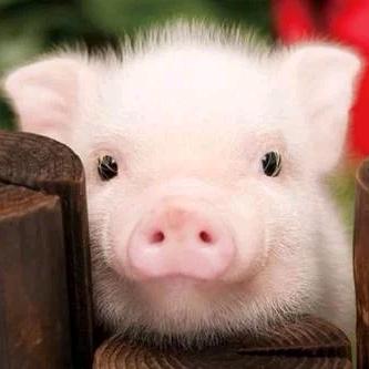 这个大哥有点拉