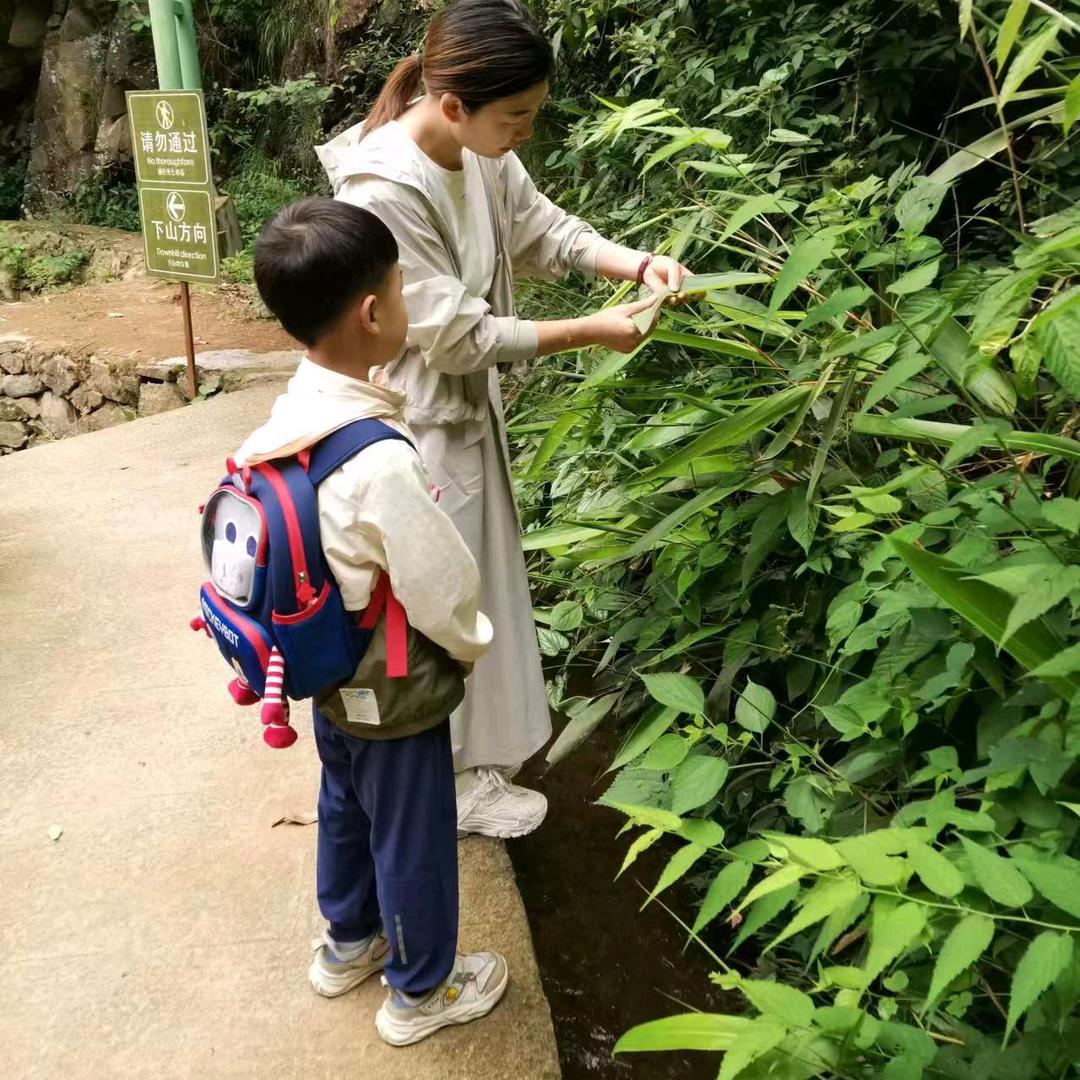 象如以沫