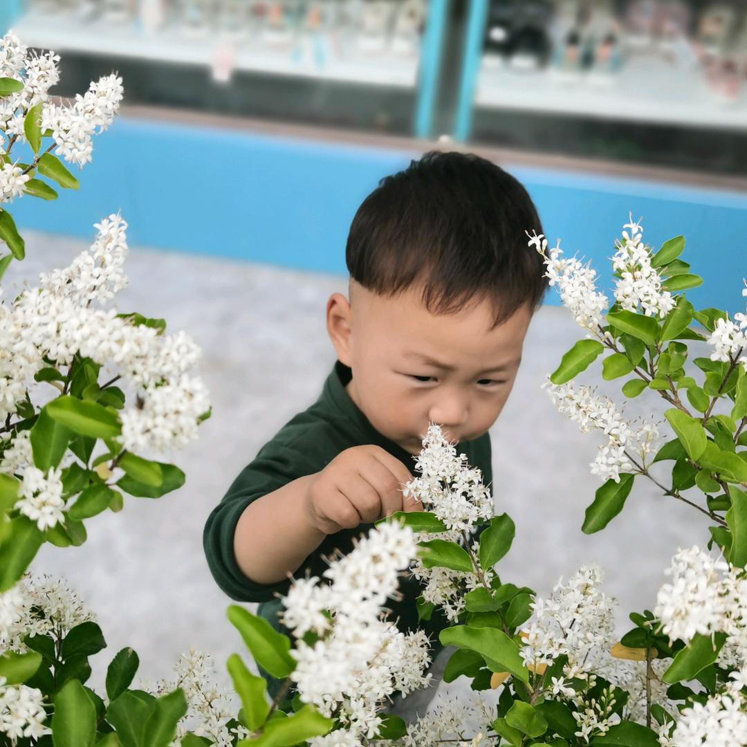 咪粒麻麻