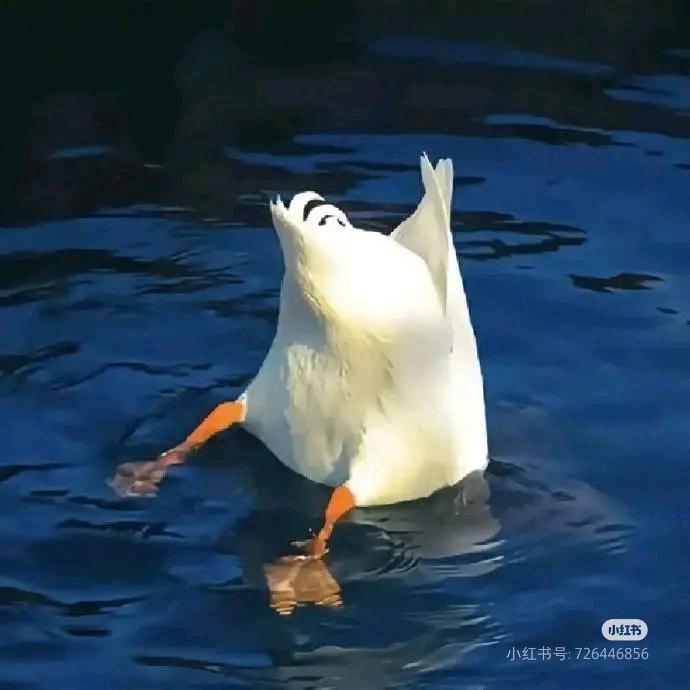 变异成为西伯利亚大恐龙（惜命养生版）