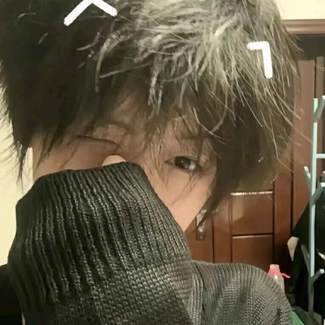 双辞