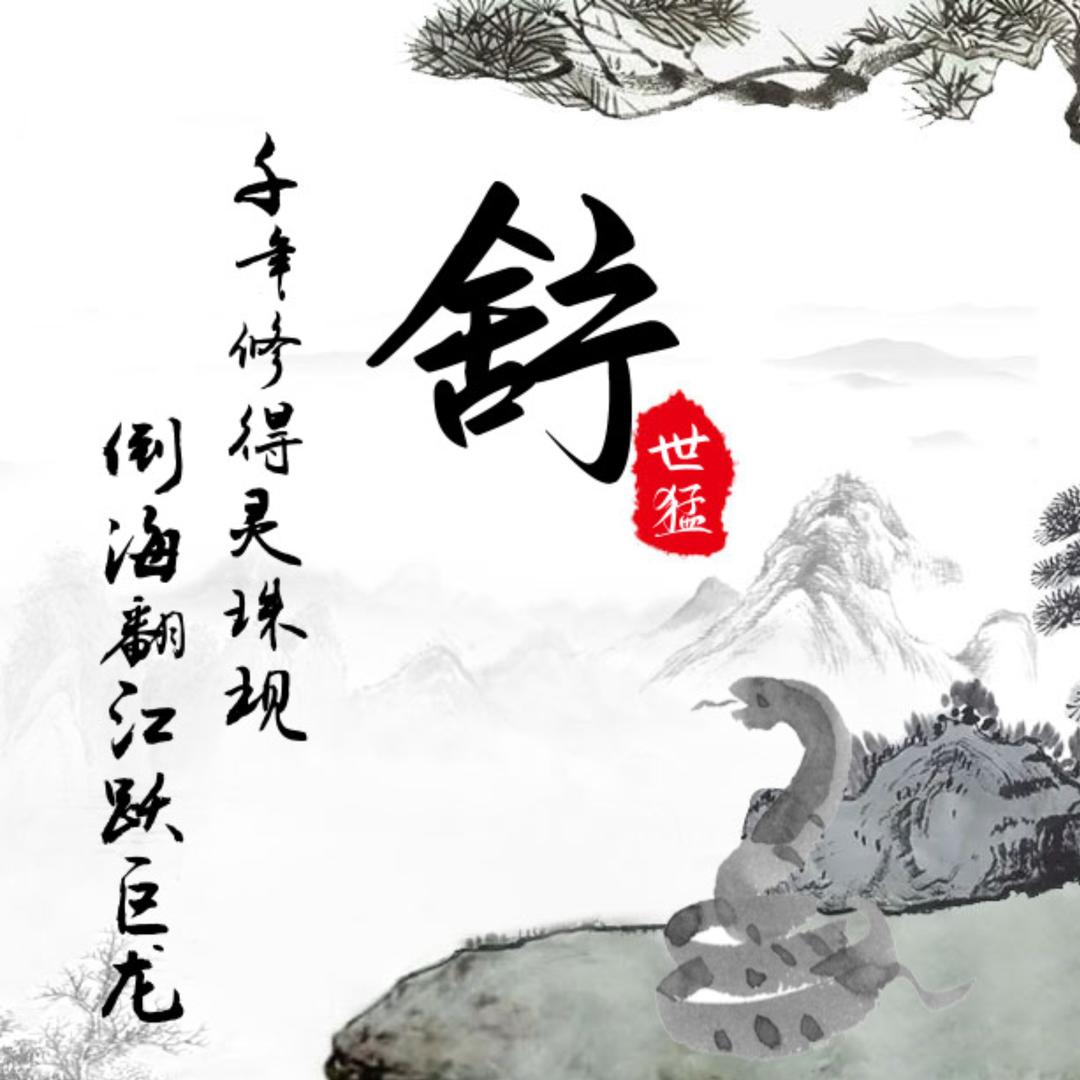 小舒货运