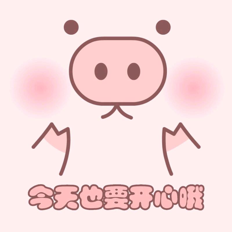 骑着猪儿逛地球