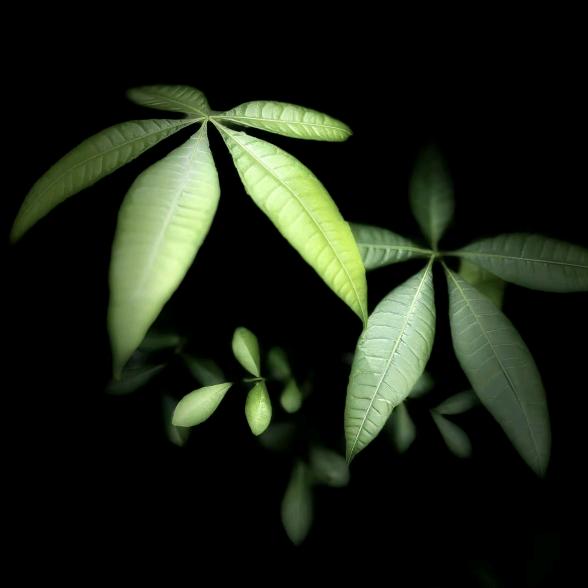 ᥫᩣ༠°小🌱芳࿐ᩚ²⁰²⁵