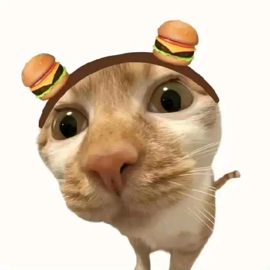 大狗冲冲