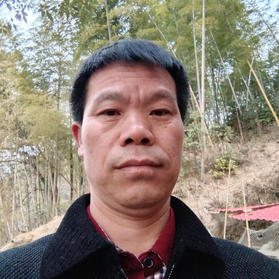 戒掉不想你