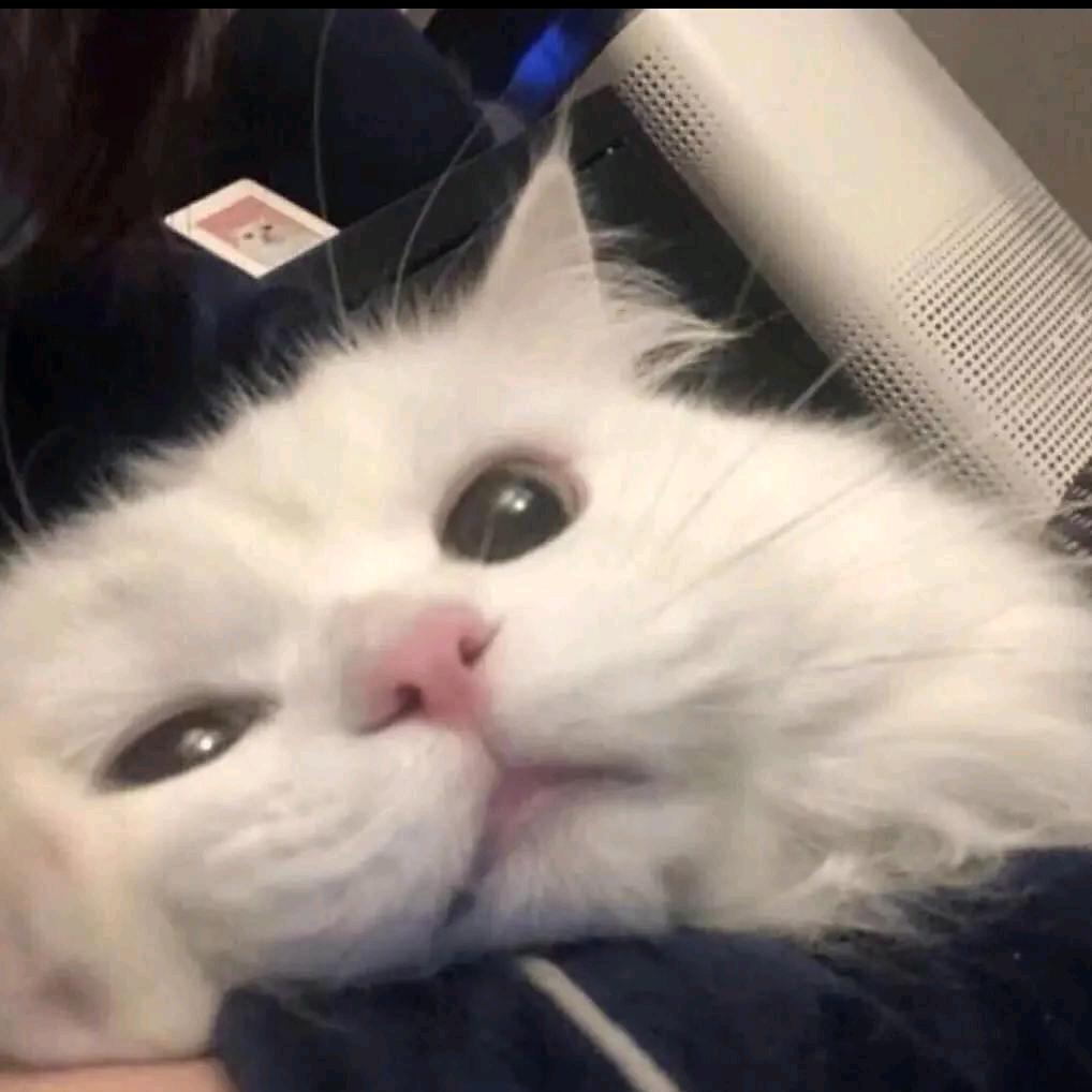 睡到不自然醒