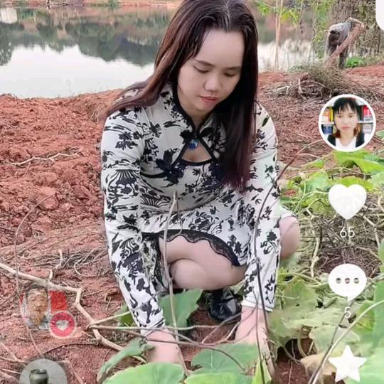 小英姐晚上开播❤️❤️单身求守护