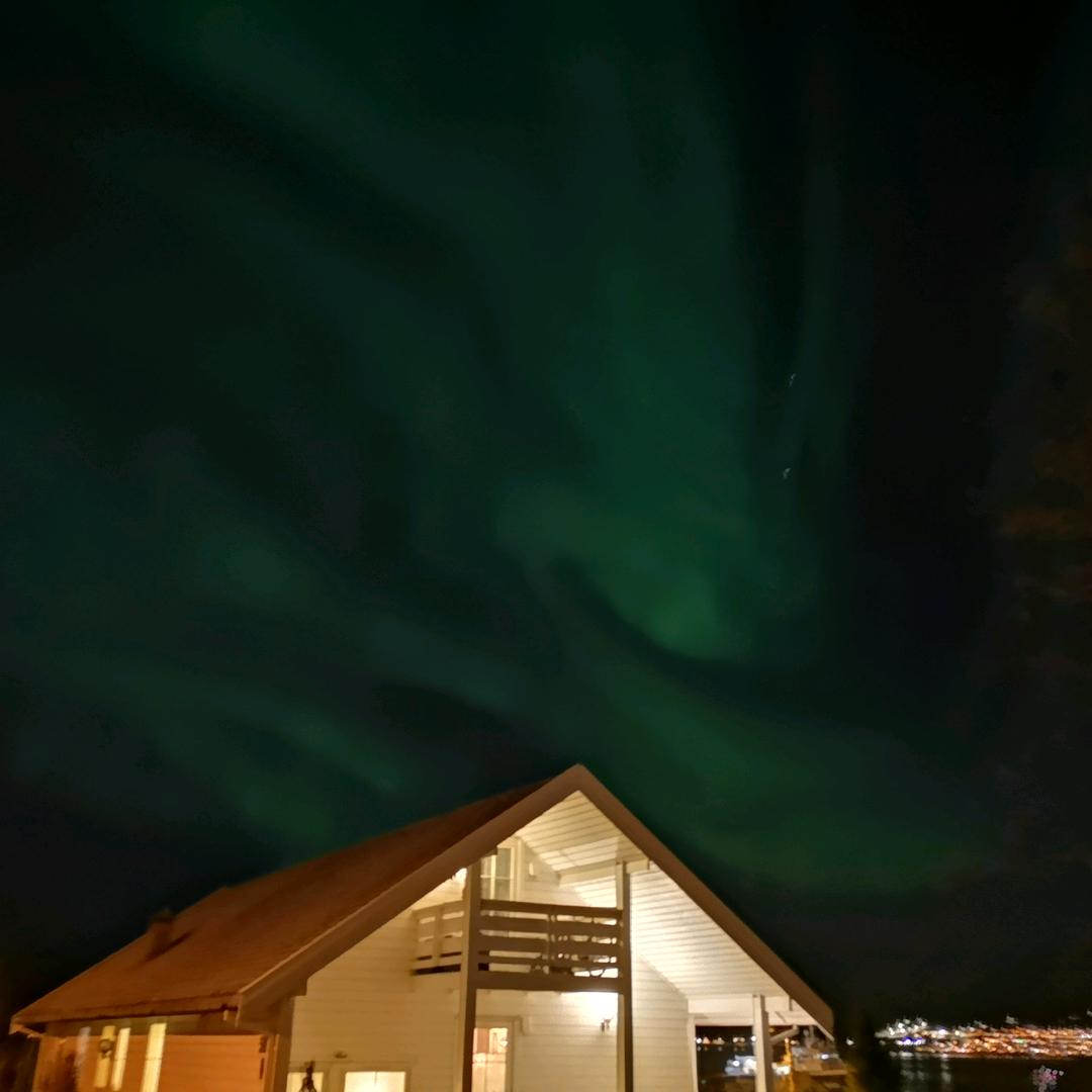 🫧🧀🥔破忒头🐳