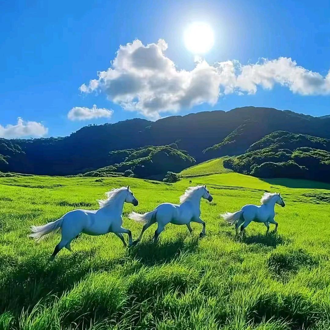 好运优选
