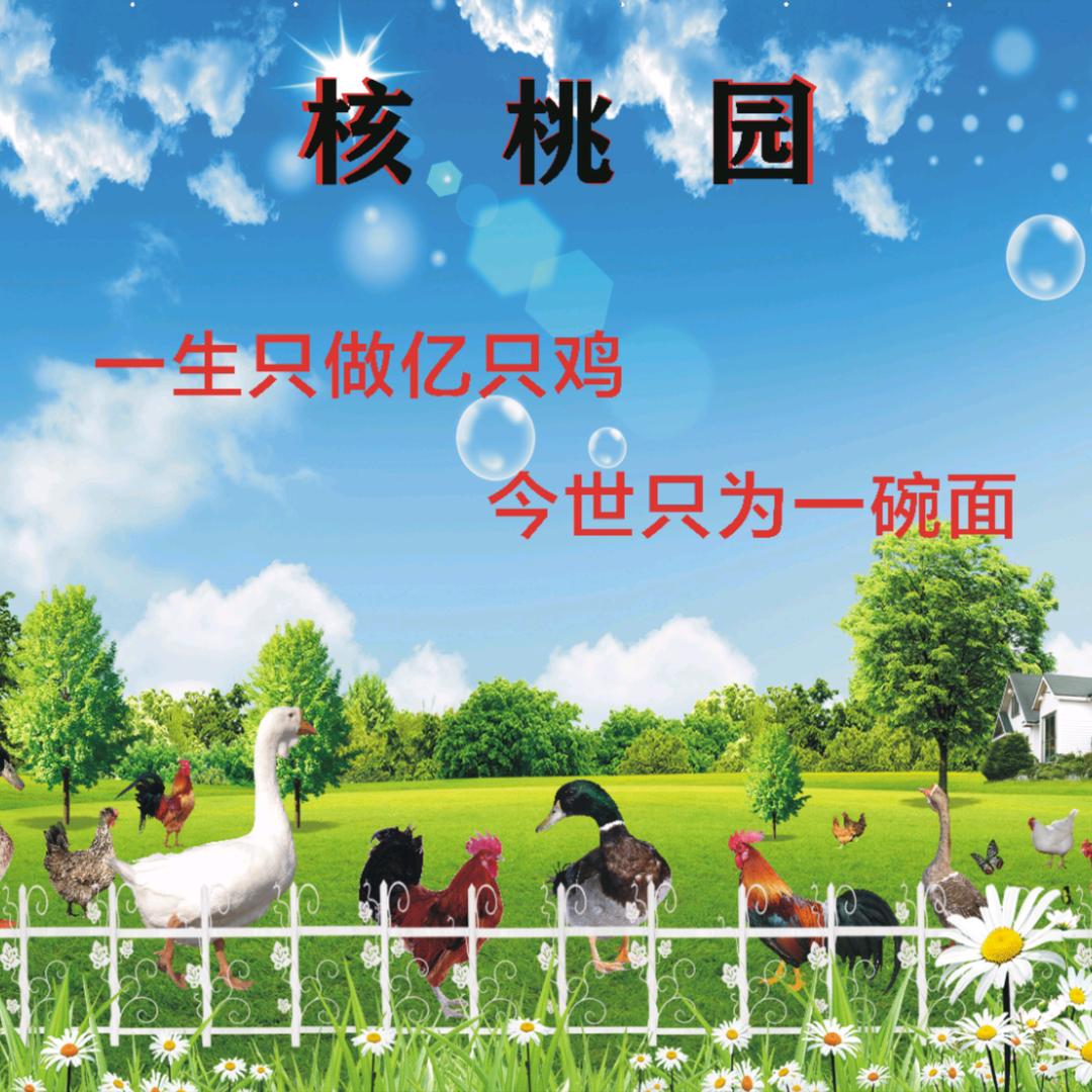 食韵斋餐饮农家院官方号