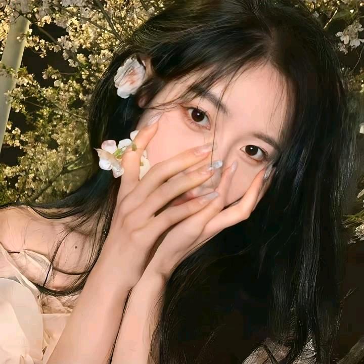 木木顶住（卓绮梵缔）