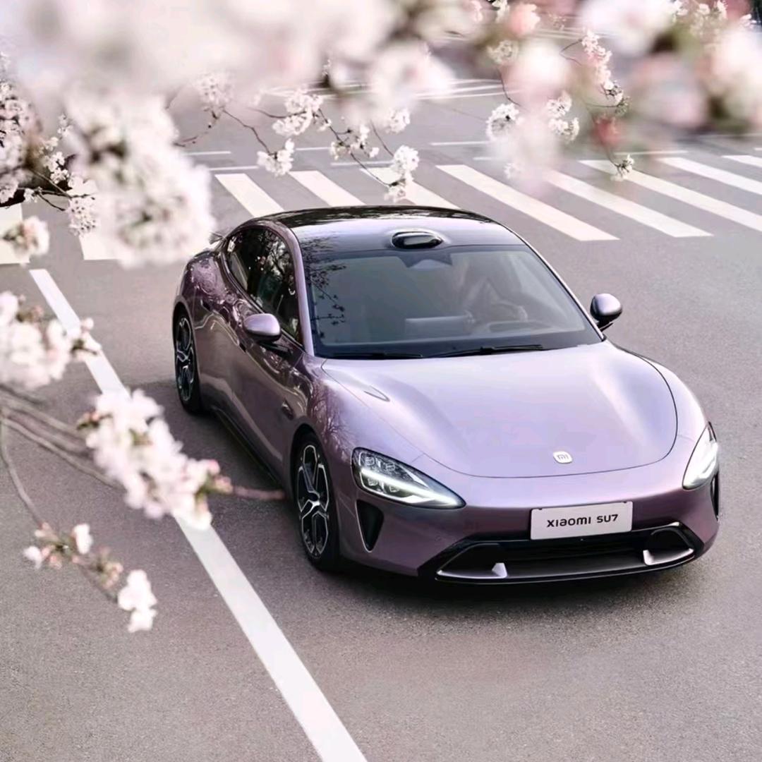 阿Ben之顺德卖小米