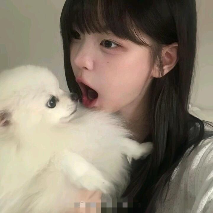 吉吉国王👑