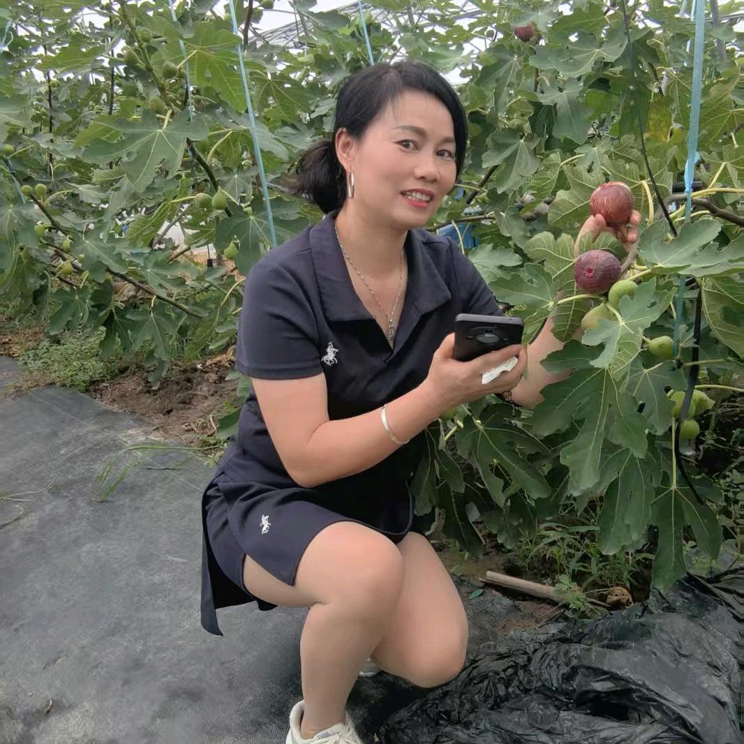 水淼淼