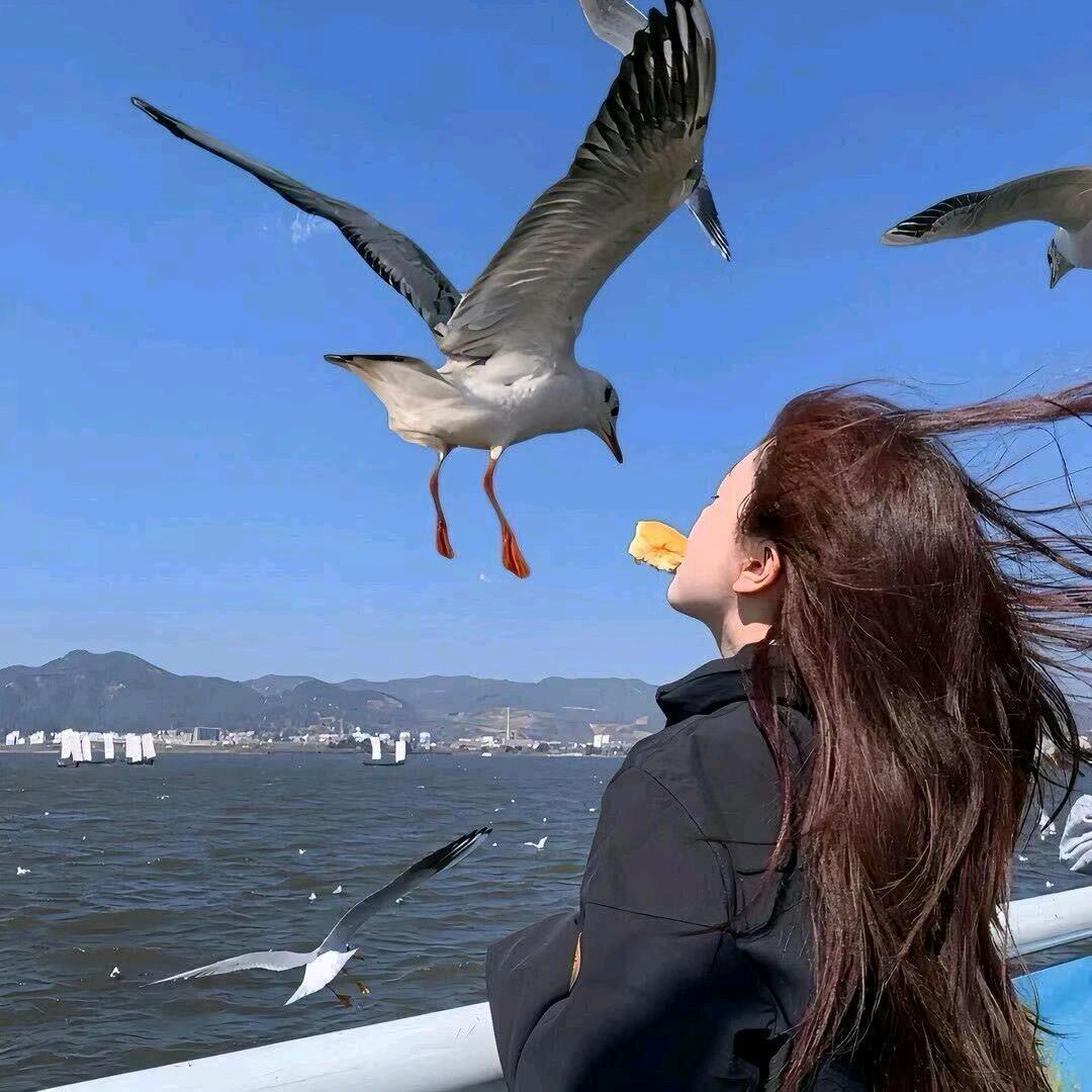 小灰灰