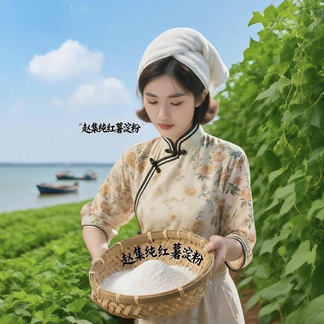 赵集农薯粉条杂粮专卖店