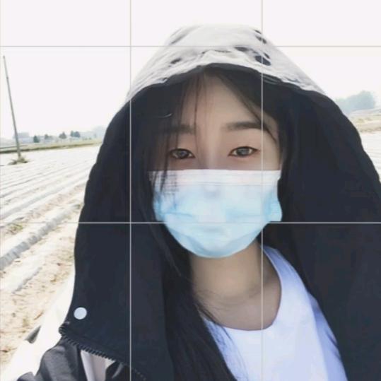 杨小梵