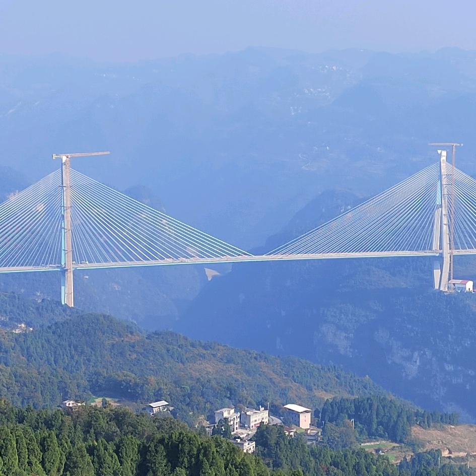 大力