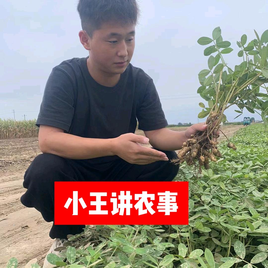 小王讲农事