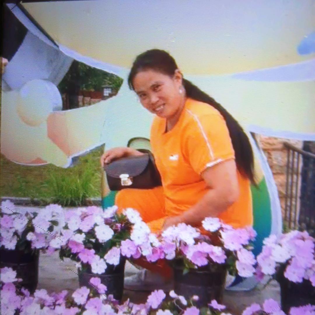 永不再来