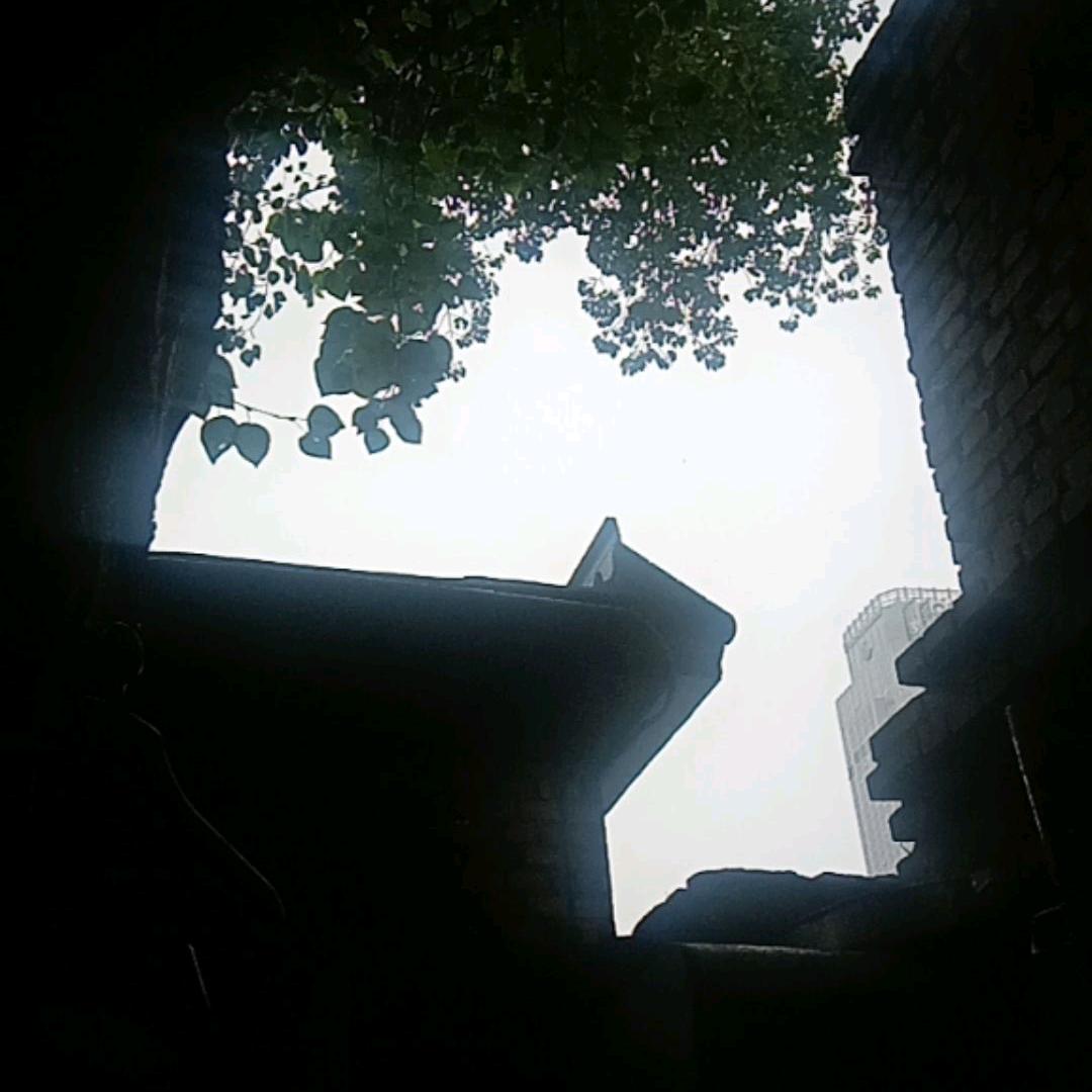 不再年轻