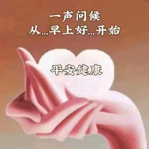 淡淡才是真
