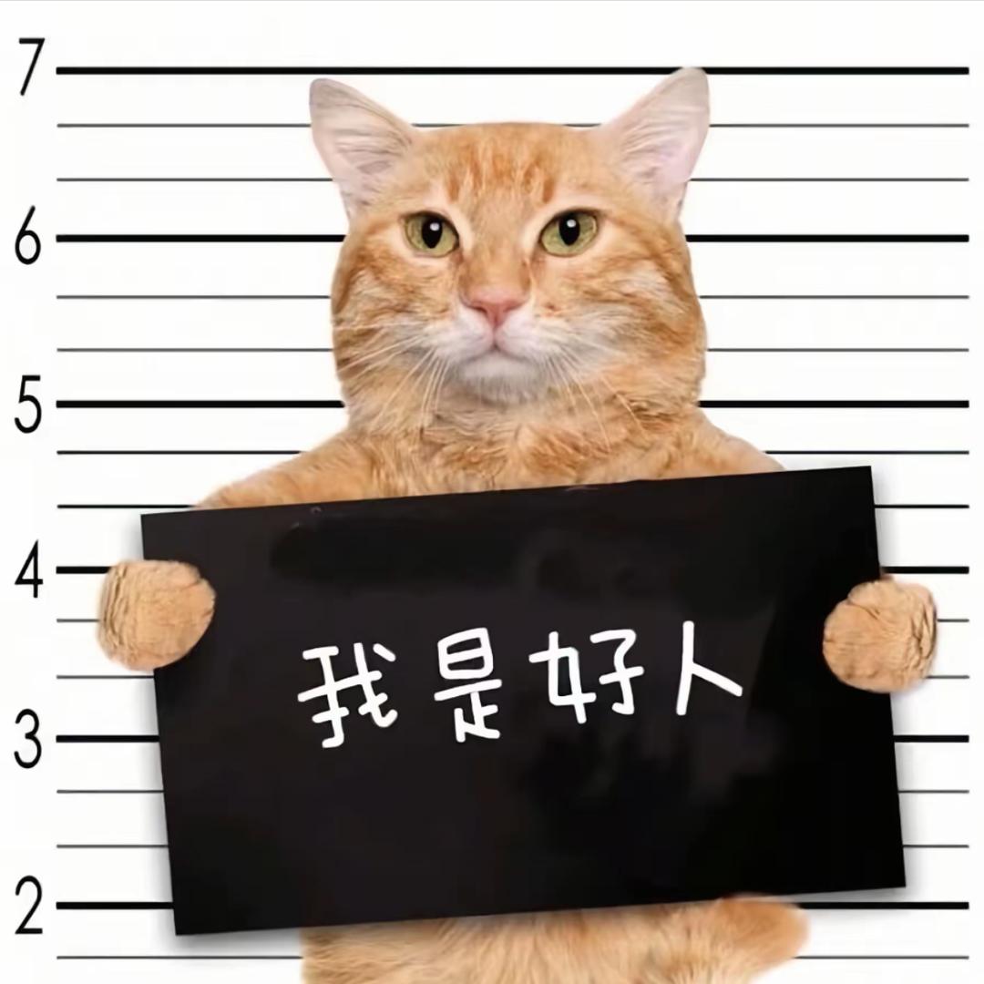 会骑飞猪
