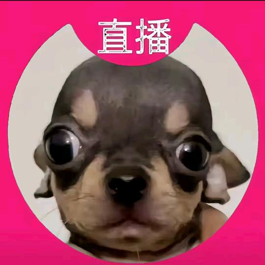 春雨