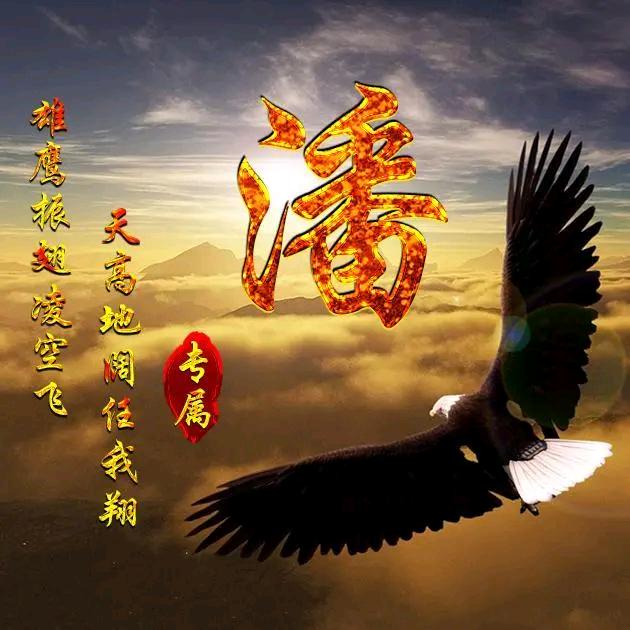 空中雄鹰