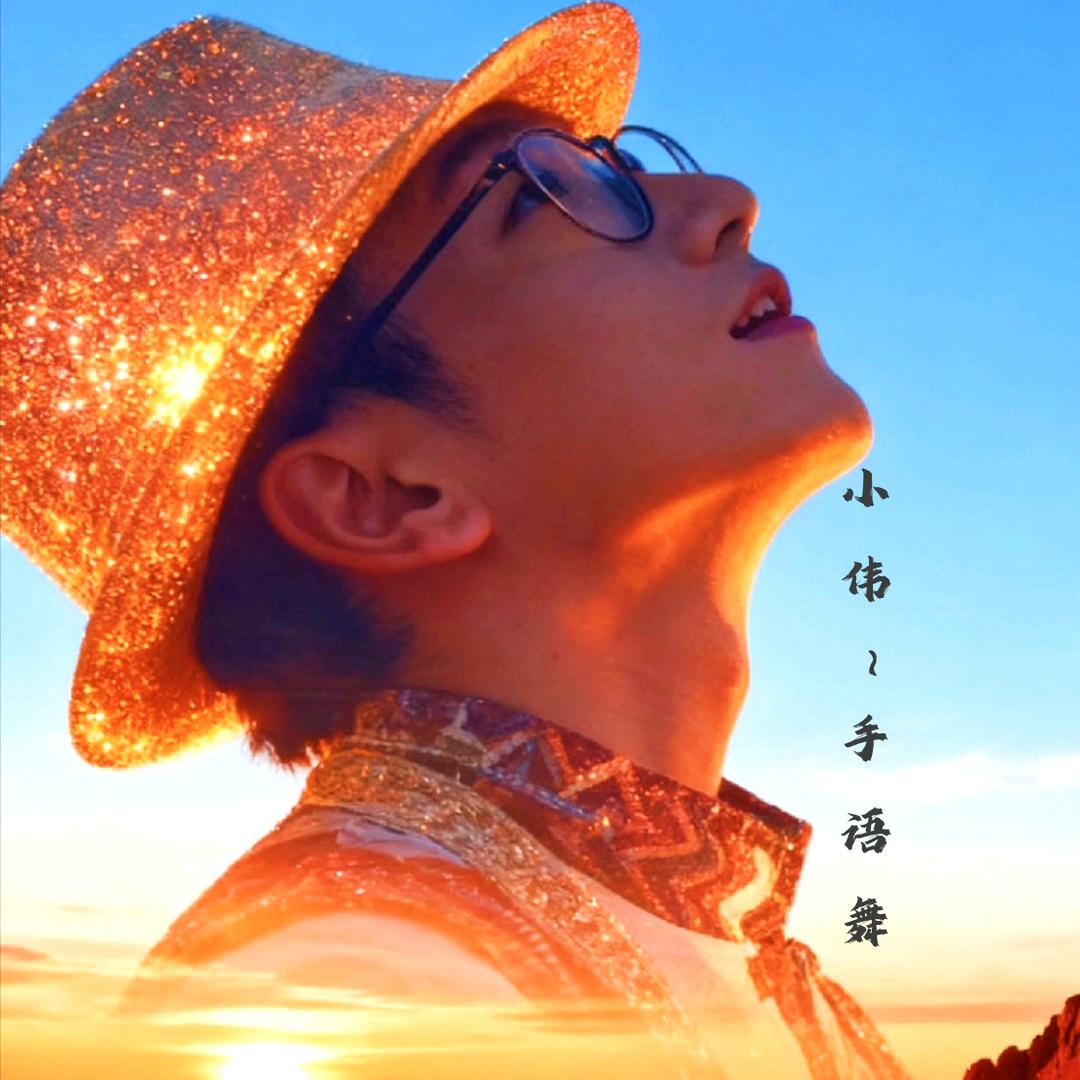 身所形体_🇨🇳小伟手语舞