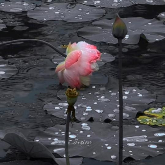 成王败寇