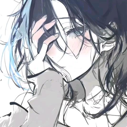 狐狸吖