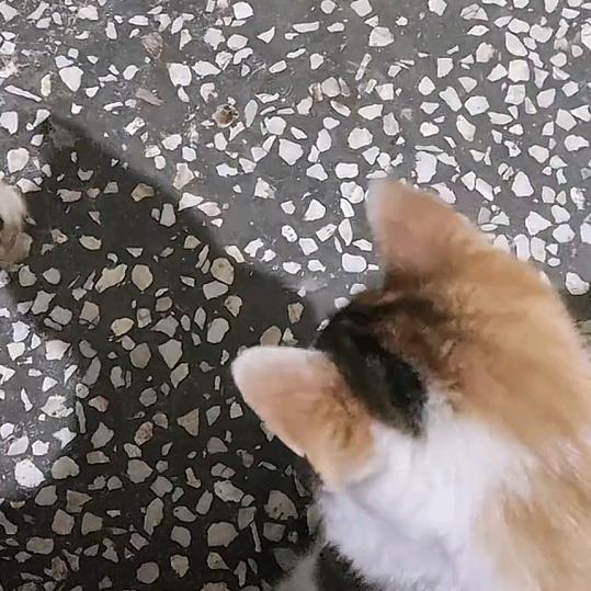 六六大顺