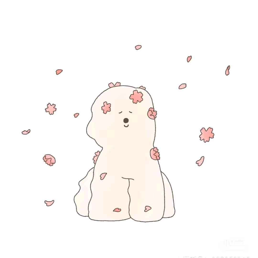 来一碗