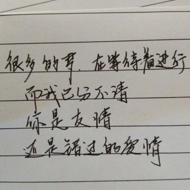 琴还是情