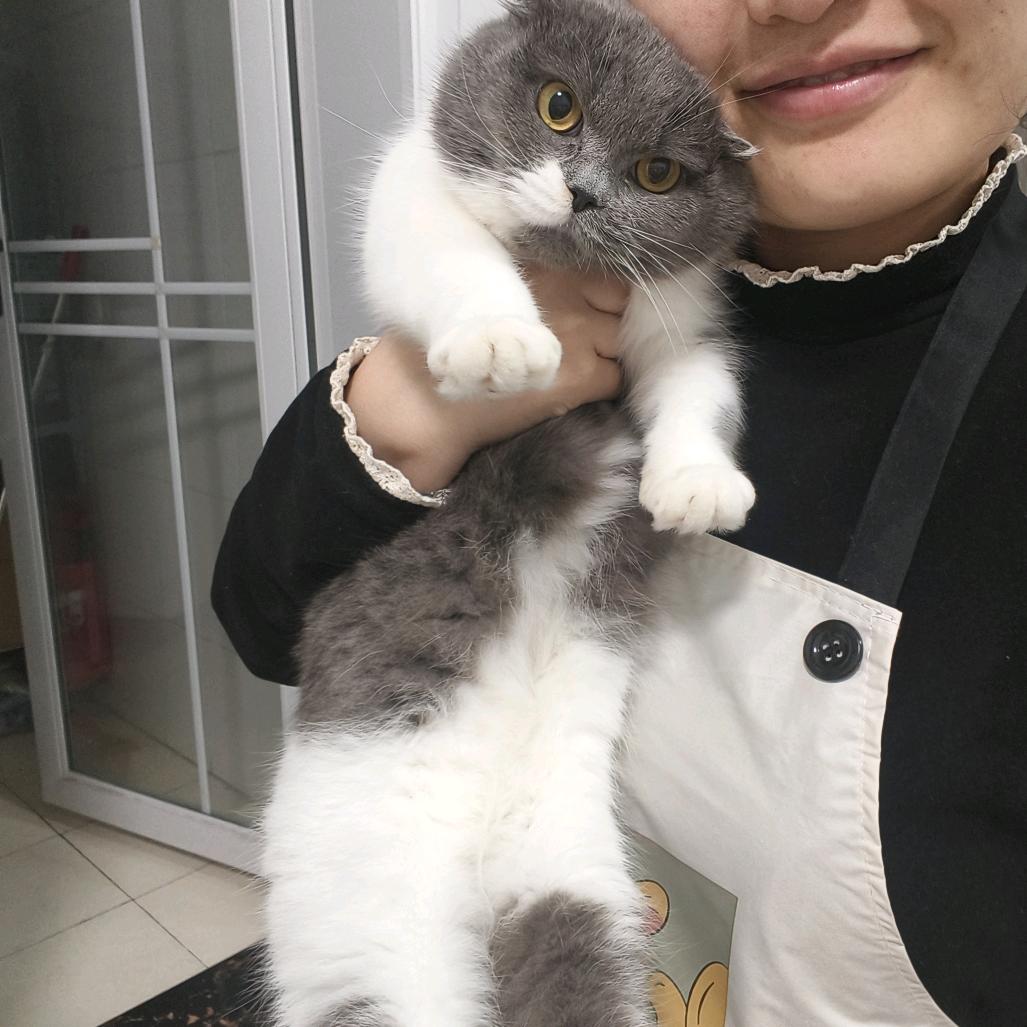 正fan形🧇