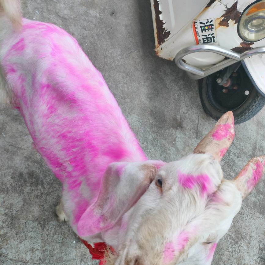 我爱你们胜过爱自己