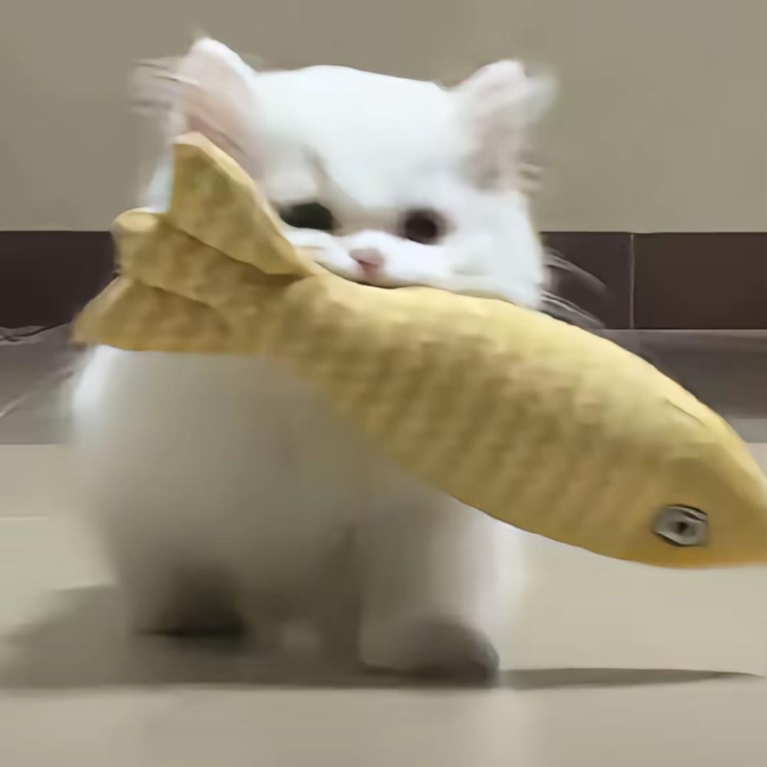 薯条大王