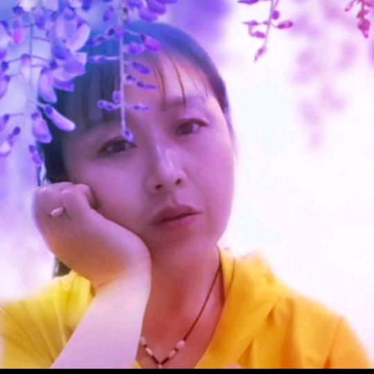 梦兰缘（根雕歌）