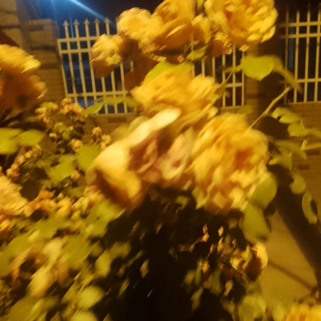 开开心心过日子