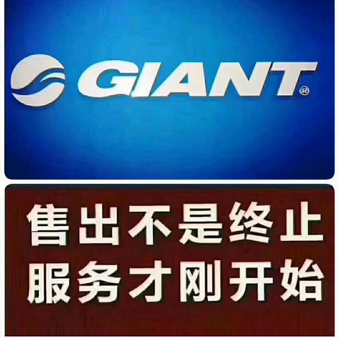 捷安特专卖店(大洼店)专用号