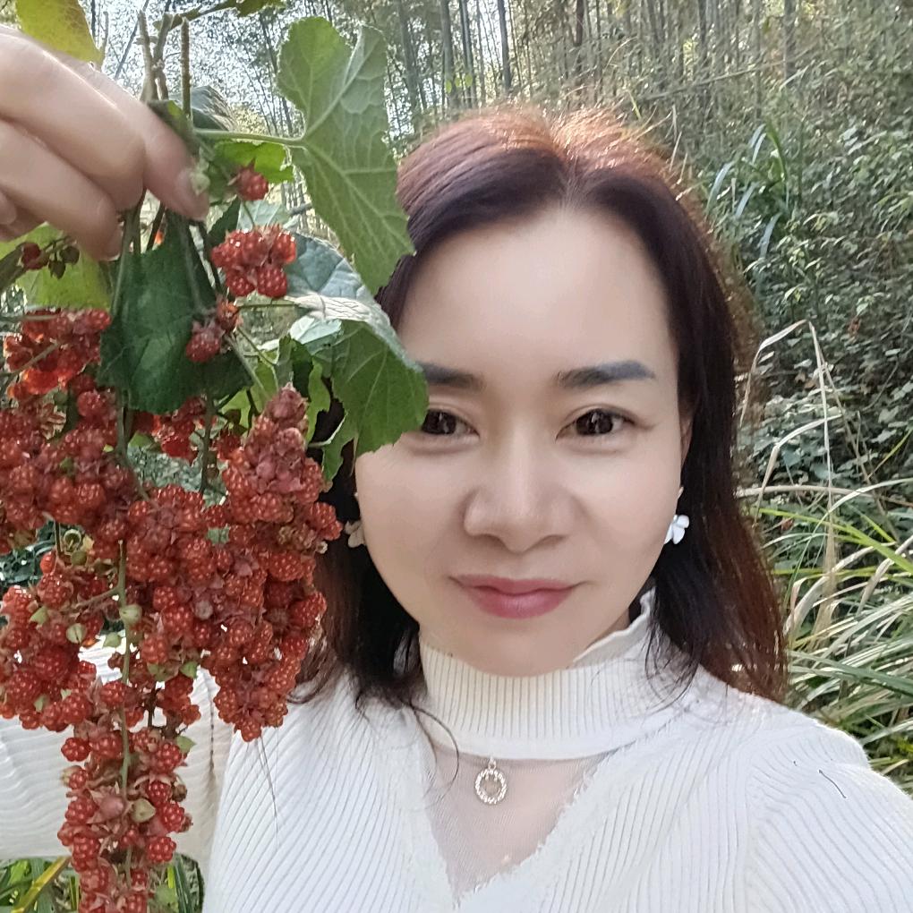 桃子农特产