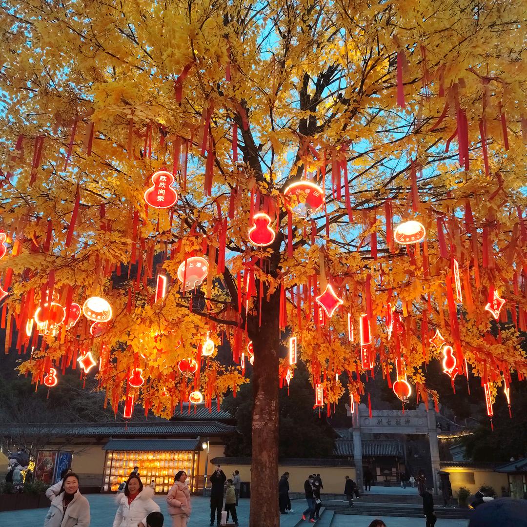 心心向荣🙈🙊🙉