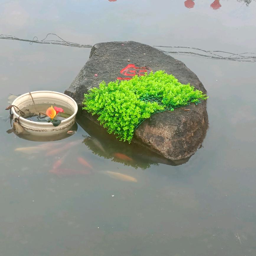 顺其自然、