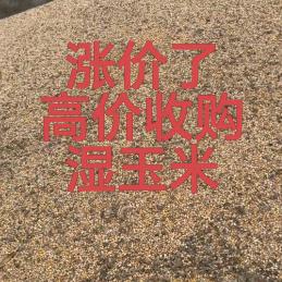 张庄粮食收购站